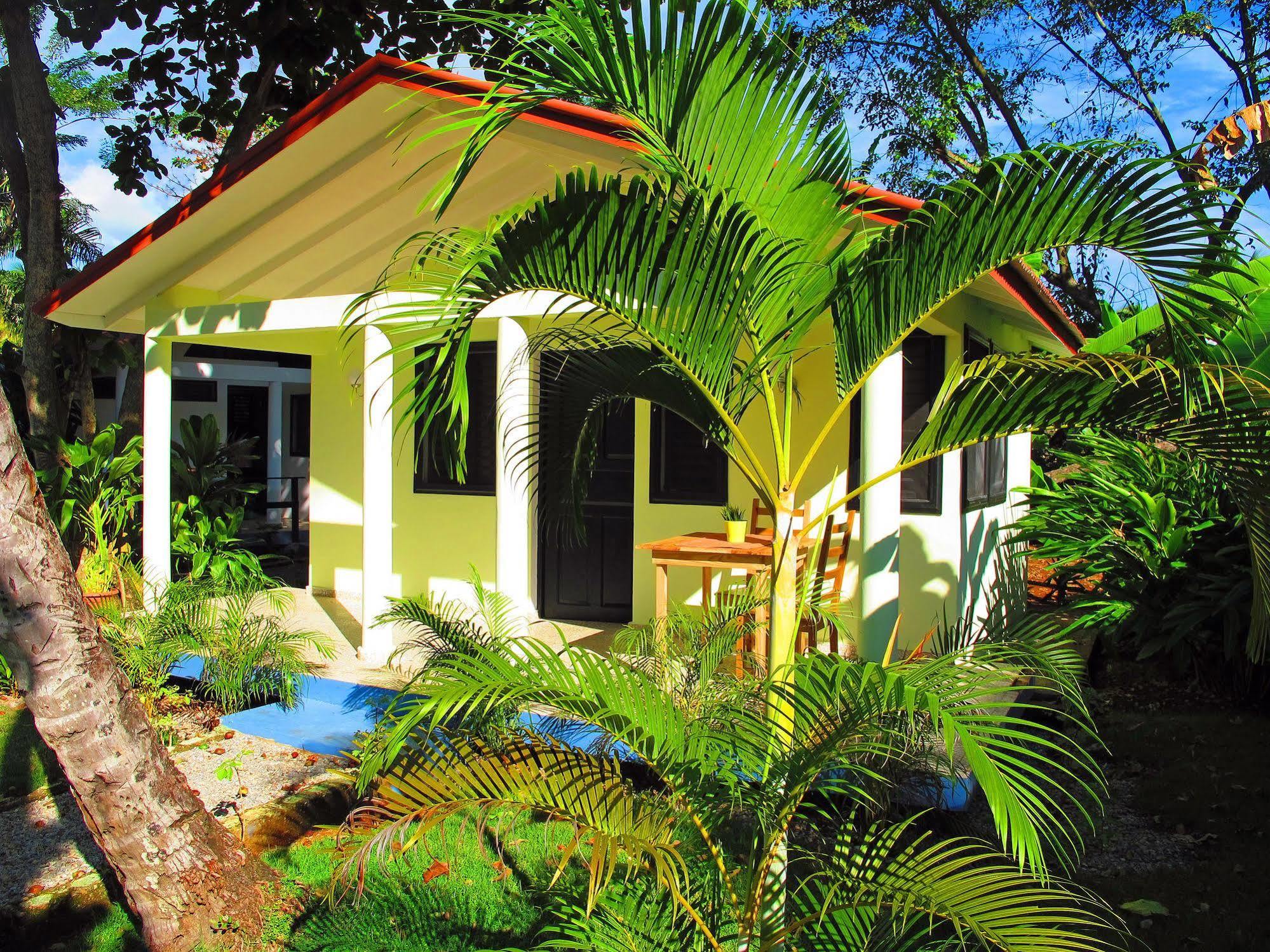Bungalows Of Las Galeras Eksteriør bilde