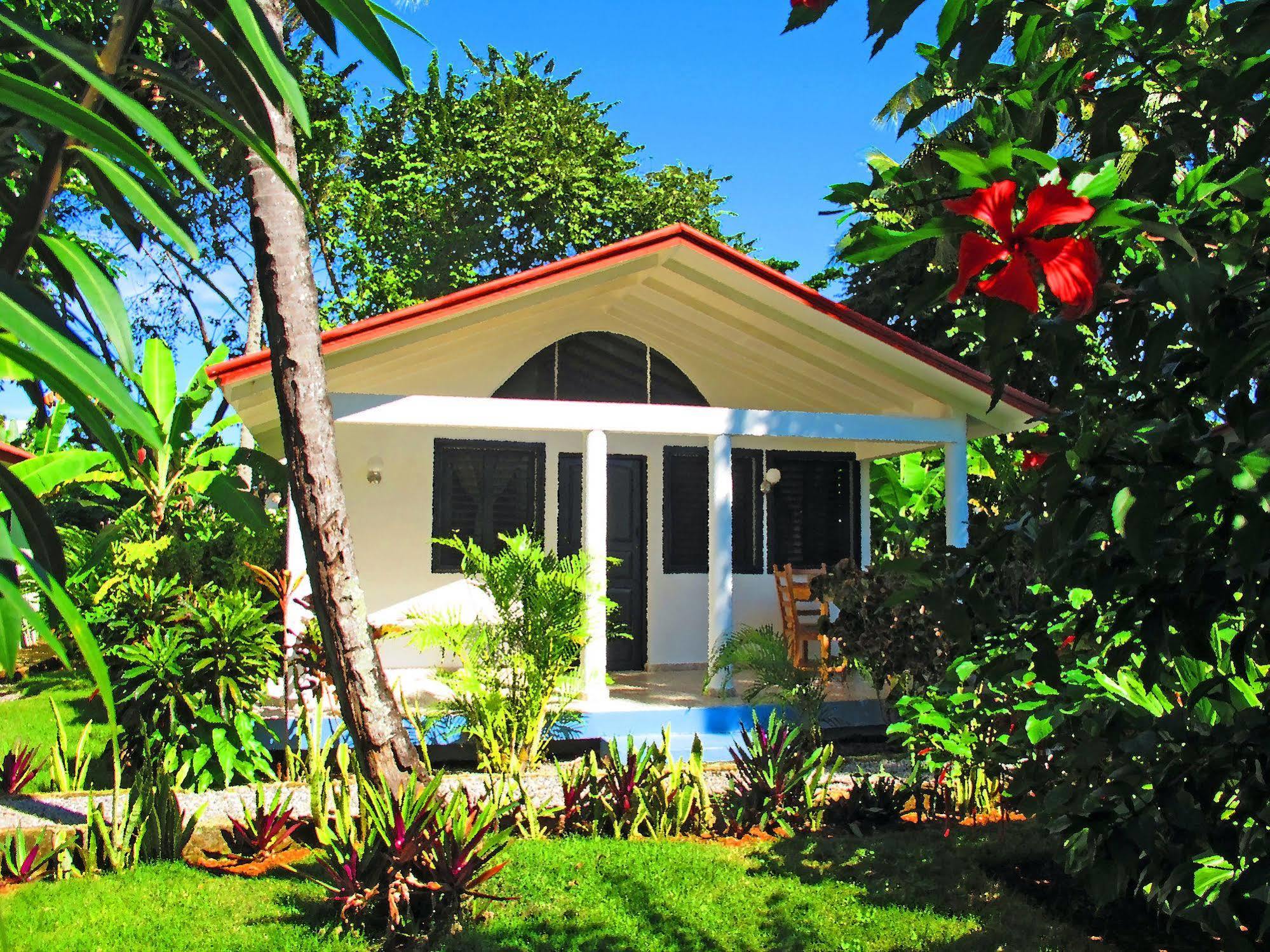 Bungalows Of Las Galeras Eksteriør bilde